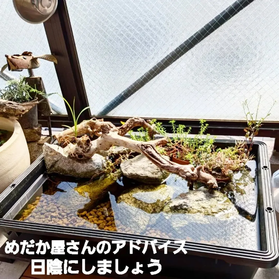【長住】昨日今日連休頂いてる