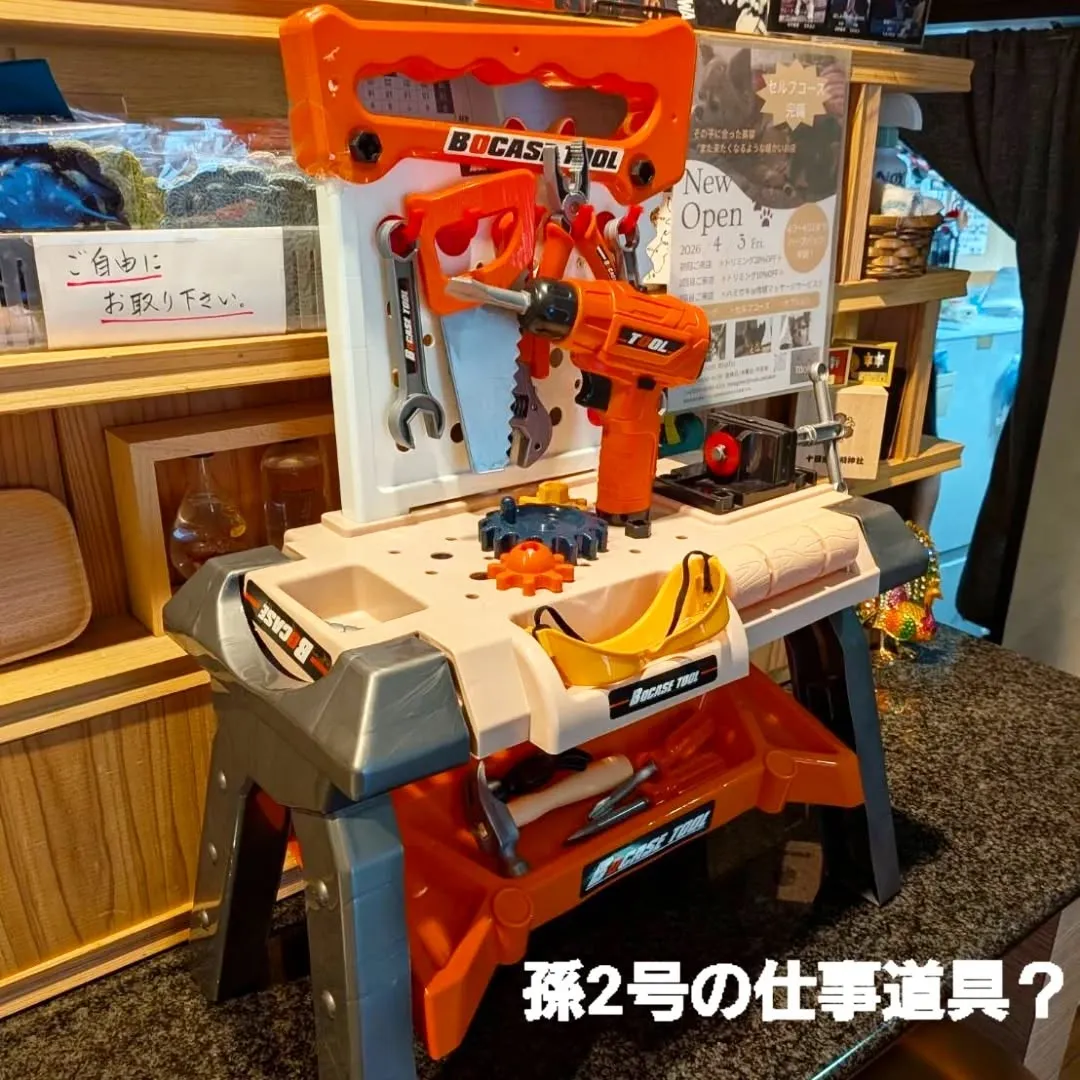 【長住】昨夜の営業中　パトカーが店の前に２台停車❔