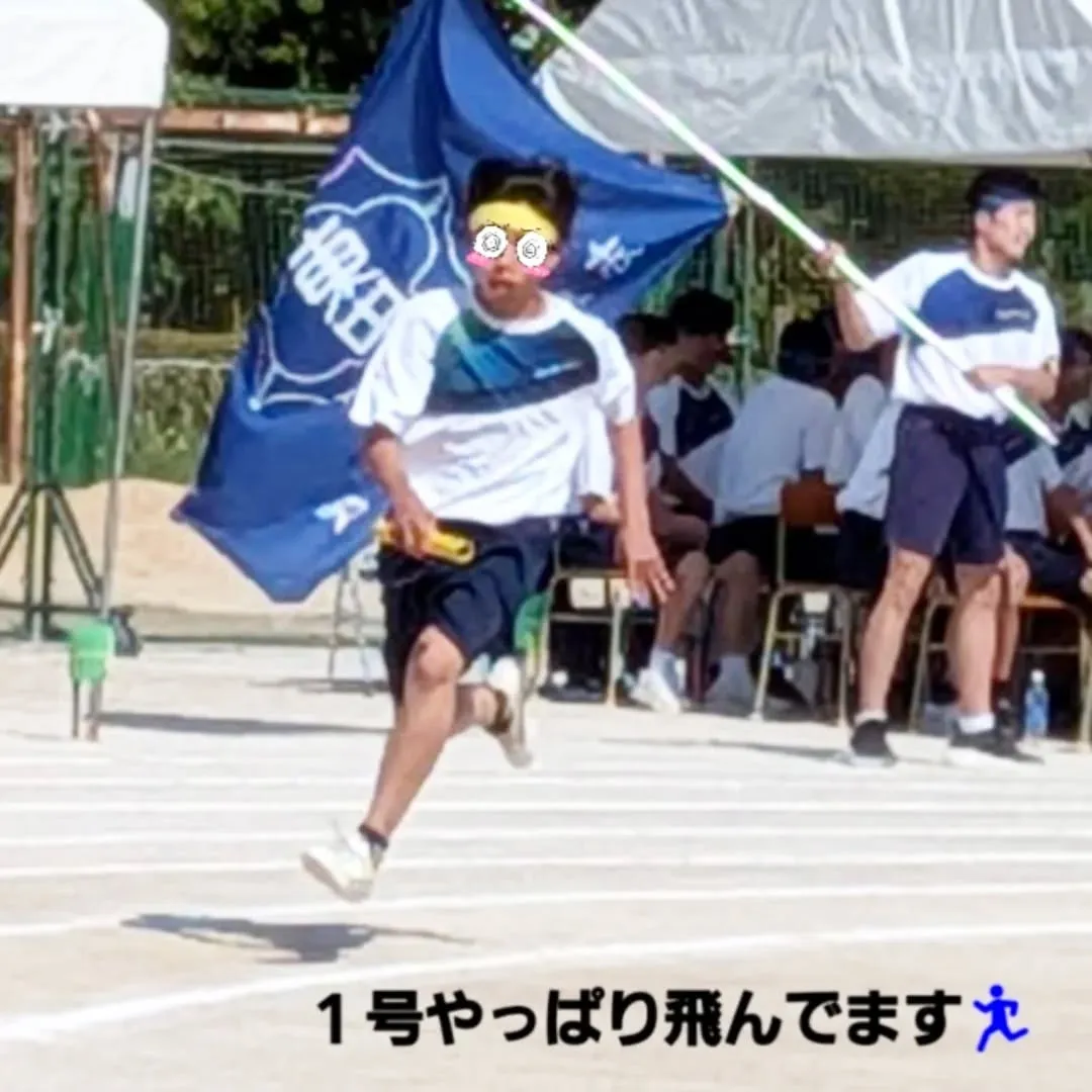 【長住】🇳🇿のトビ🐏お誕生日おめでとう🎂