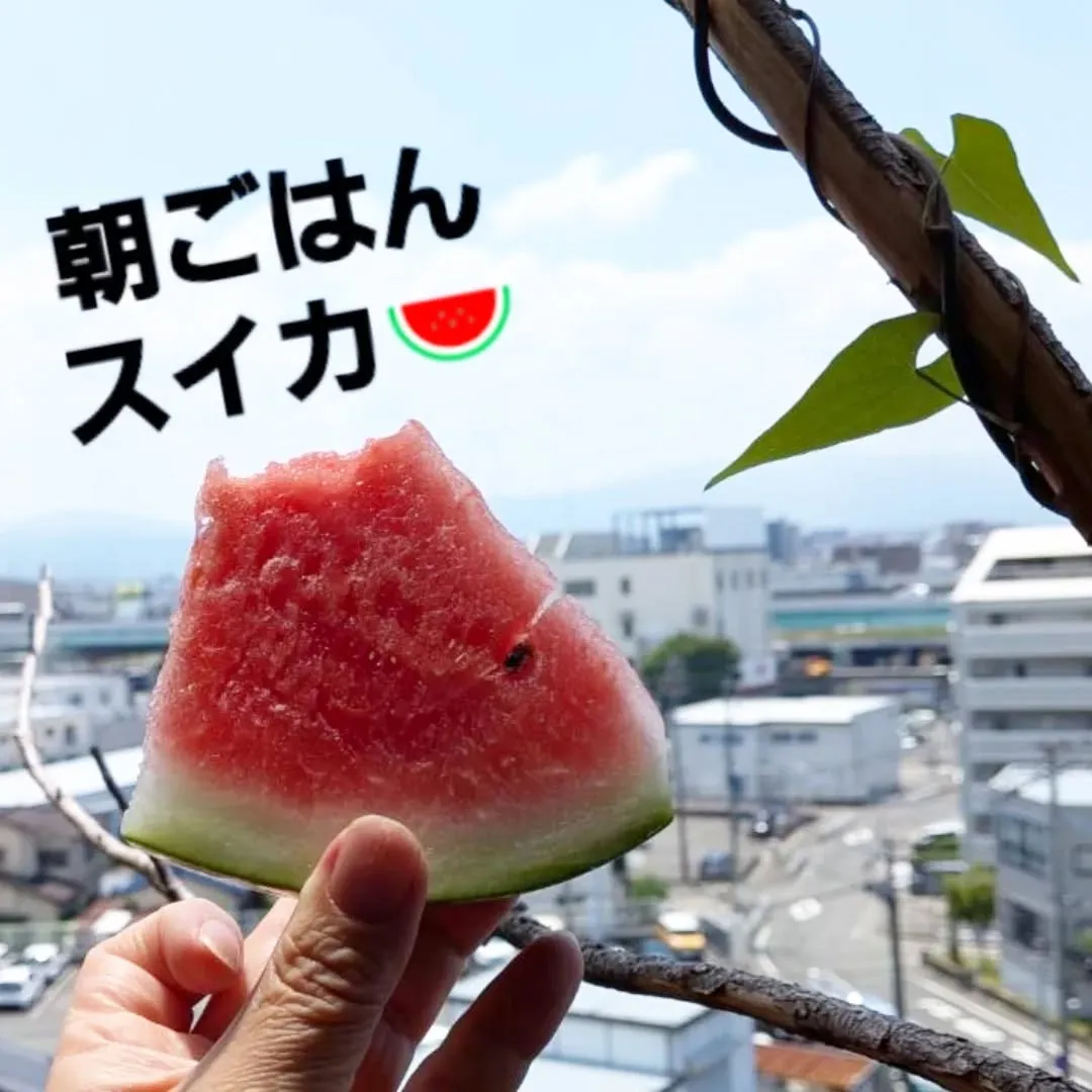 【長住】今朝の朝ごはんはベランダで「スイカ🍉」です。