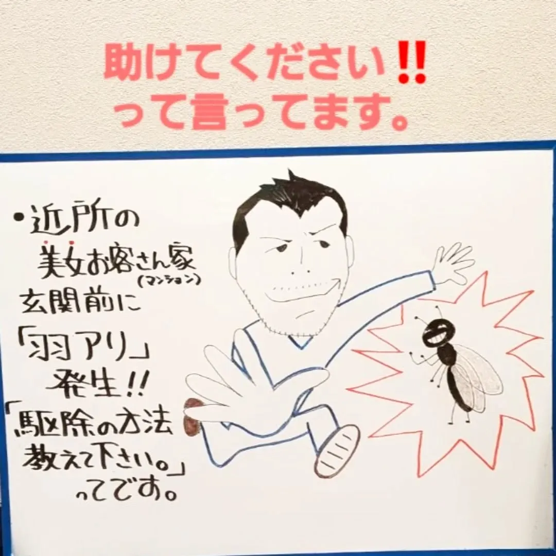 【長住】昨夜 美女のお客さん帰りに「玄関前の廊下に羽アリが発...