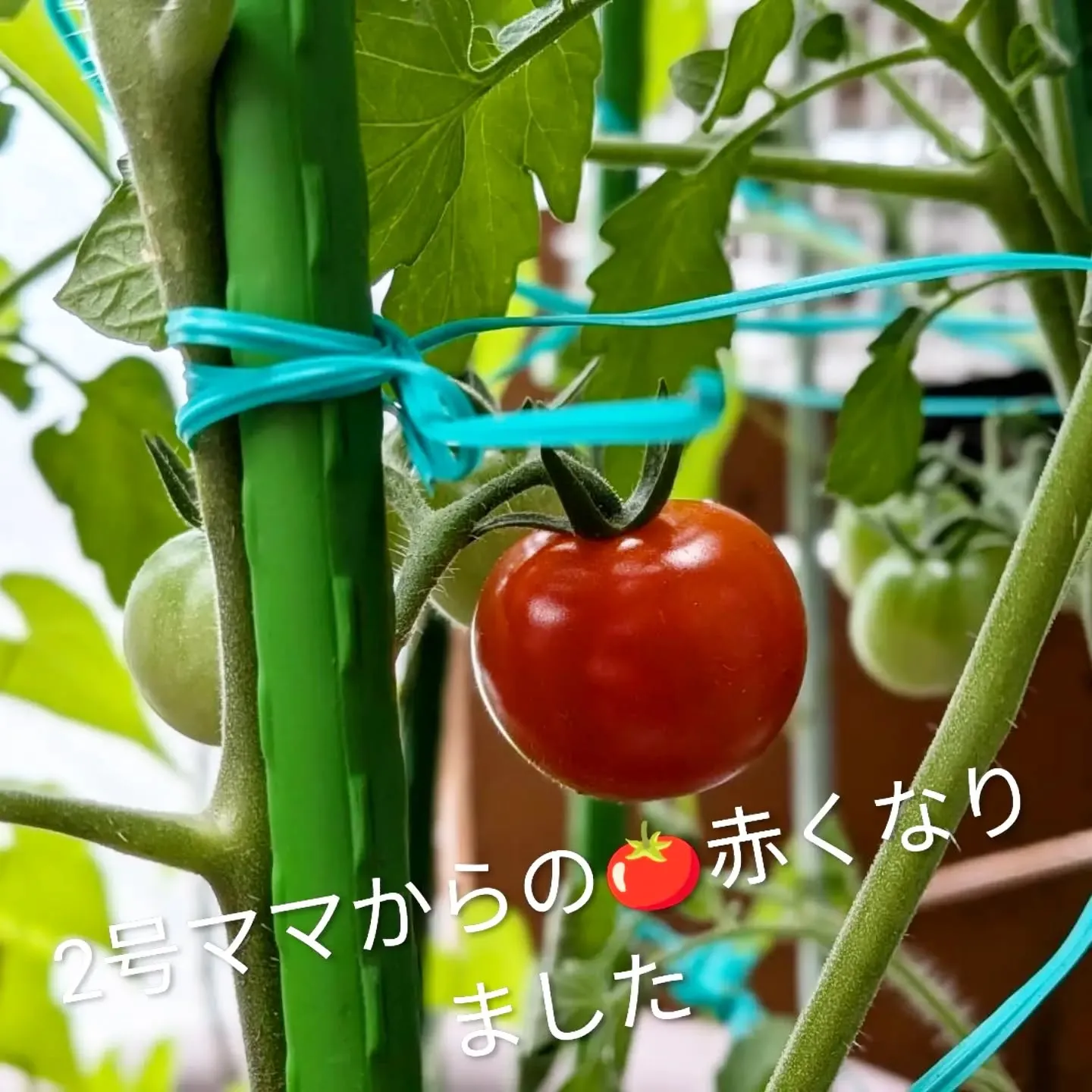 【長住】やっと☔あがりそうです。