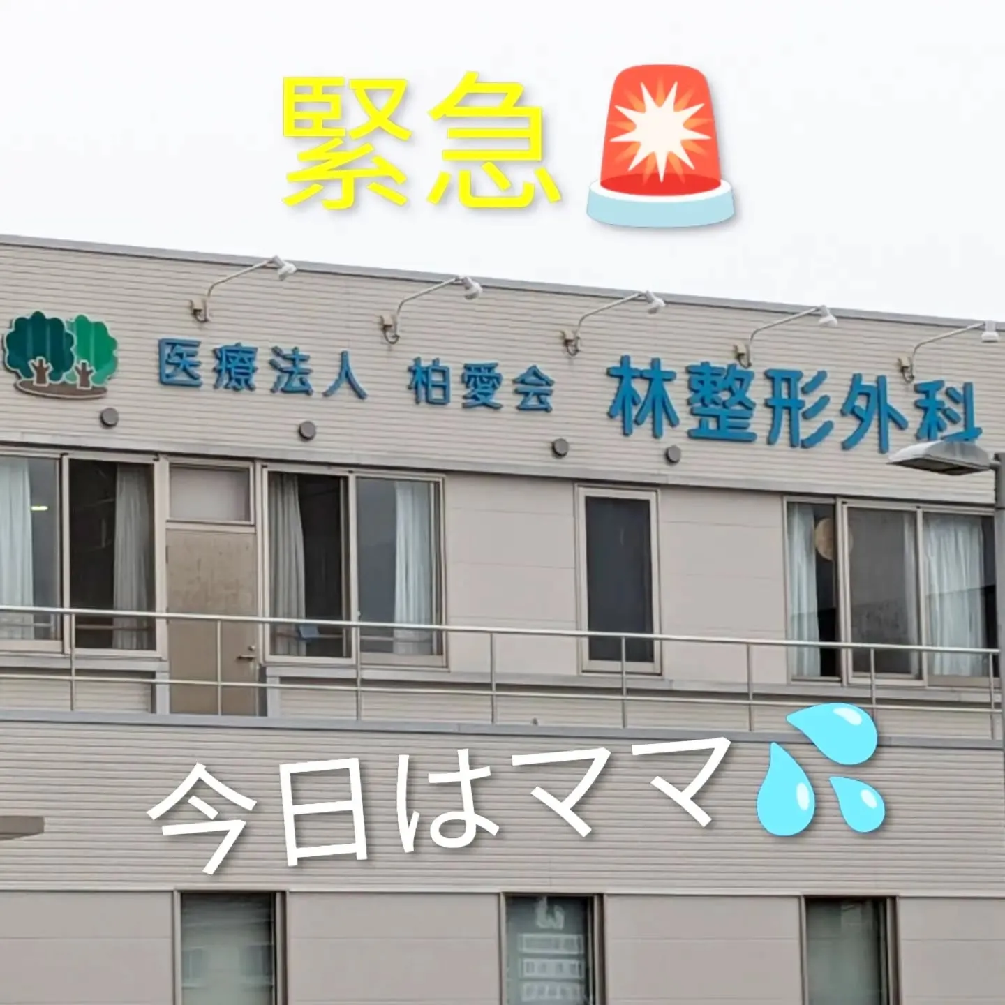 【長住】今日6ヶ月の留学でニュージーランド🇳🇿から  TOB...