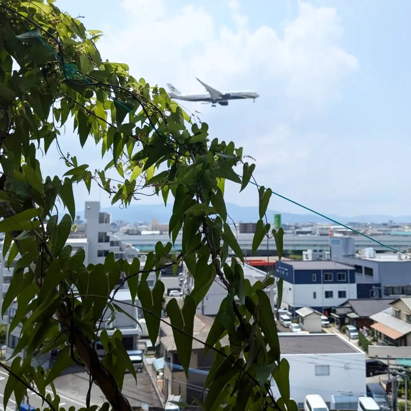 【長住】今日は店休日