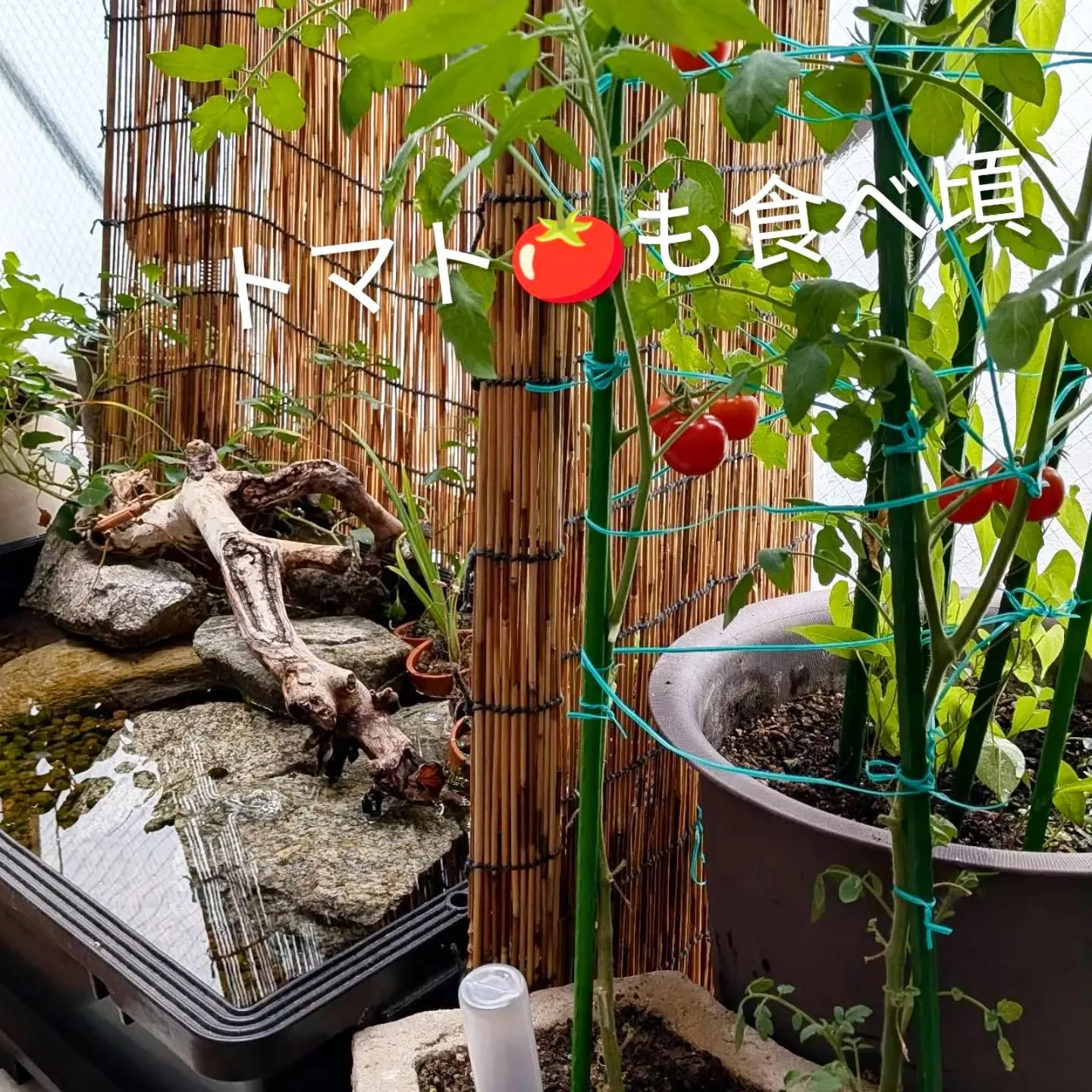 【長住】今日は店休日