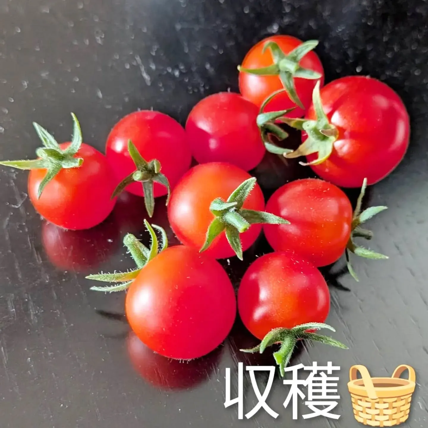 【長住】今日は店休日