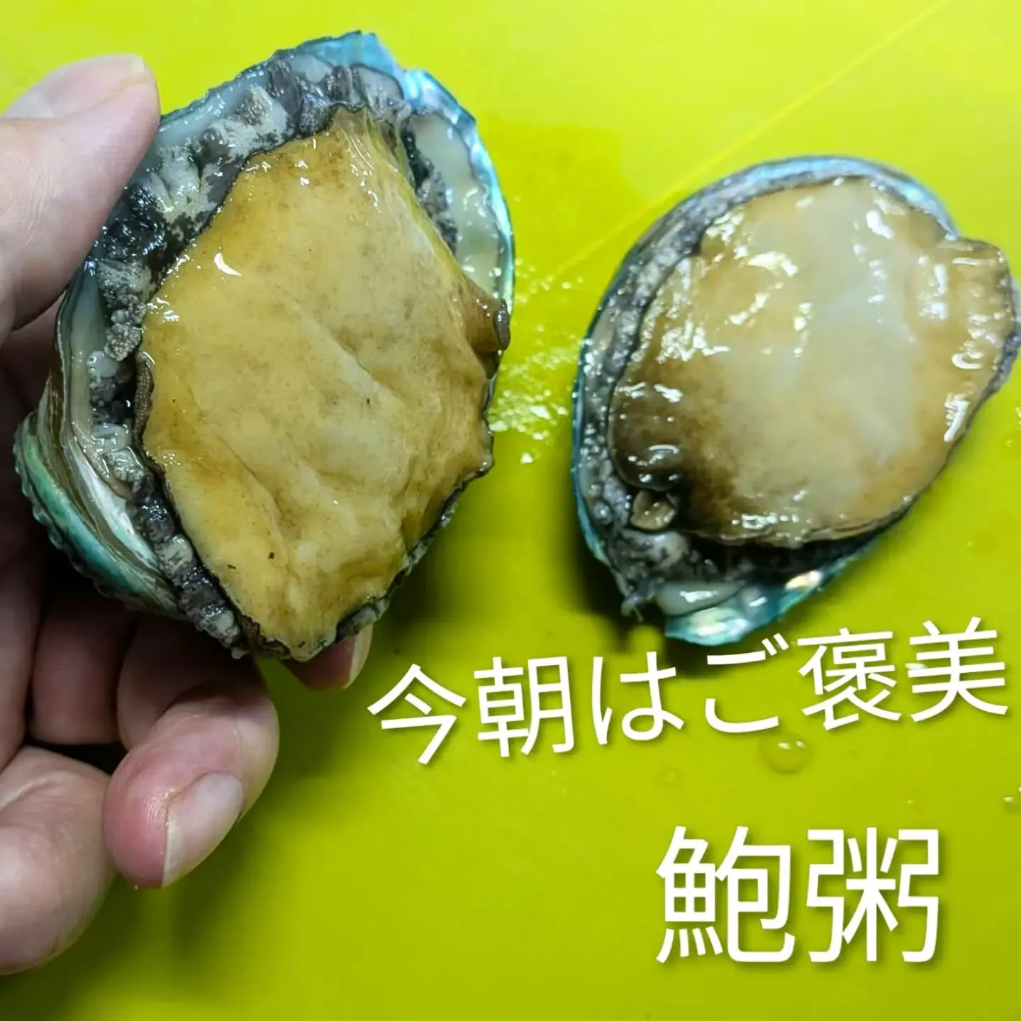 【長住】昨日魚屋さんから 鮑2個分けて頂き今朝は 韓国に行き...