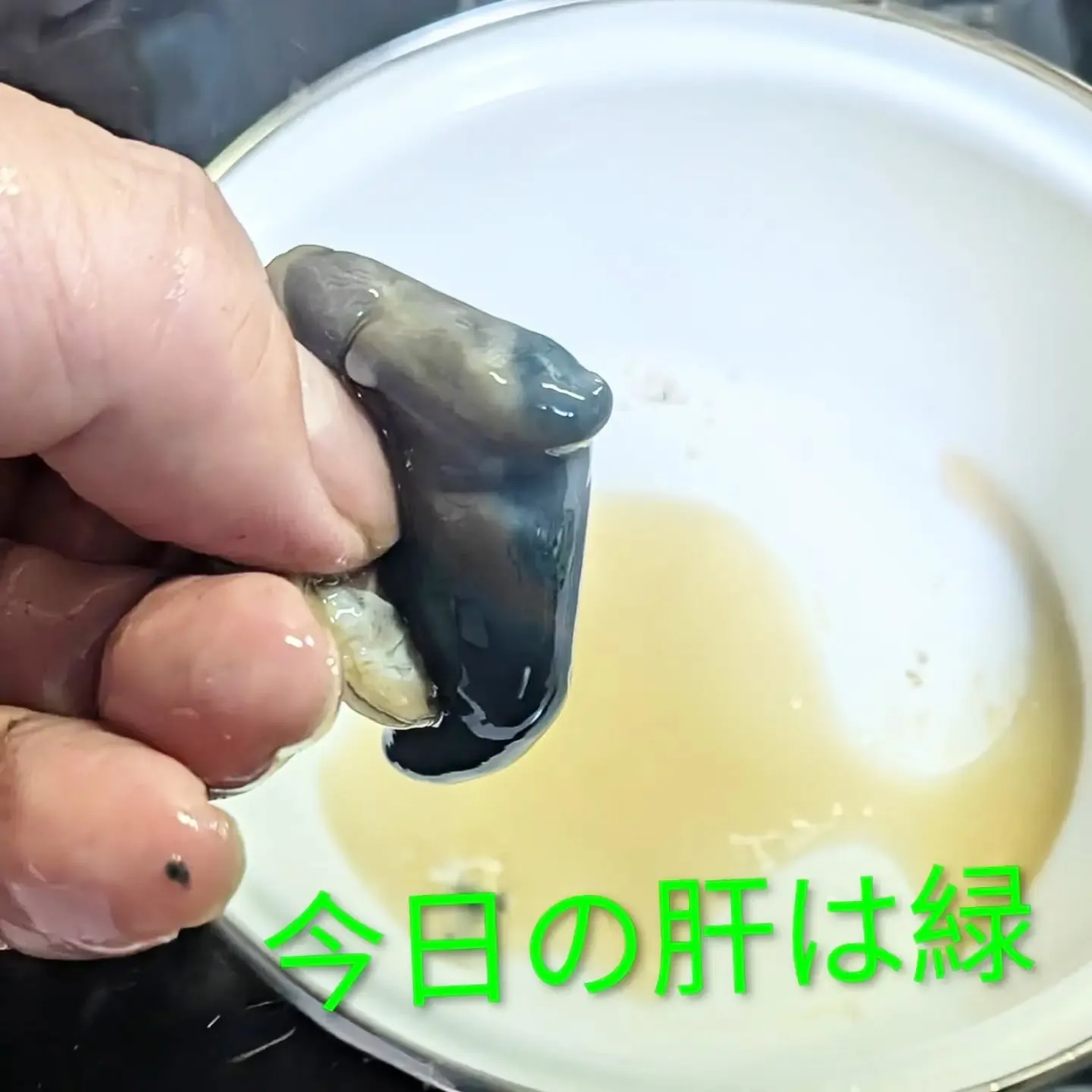 【長住】昨日魚屋さんから 鮑2個分けて頂き今朝は 韓国に行き...
