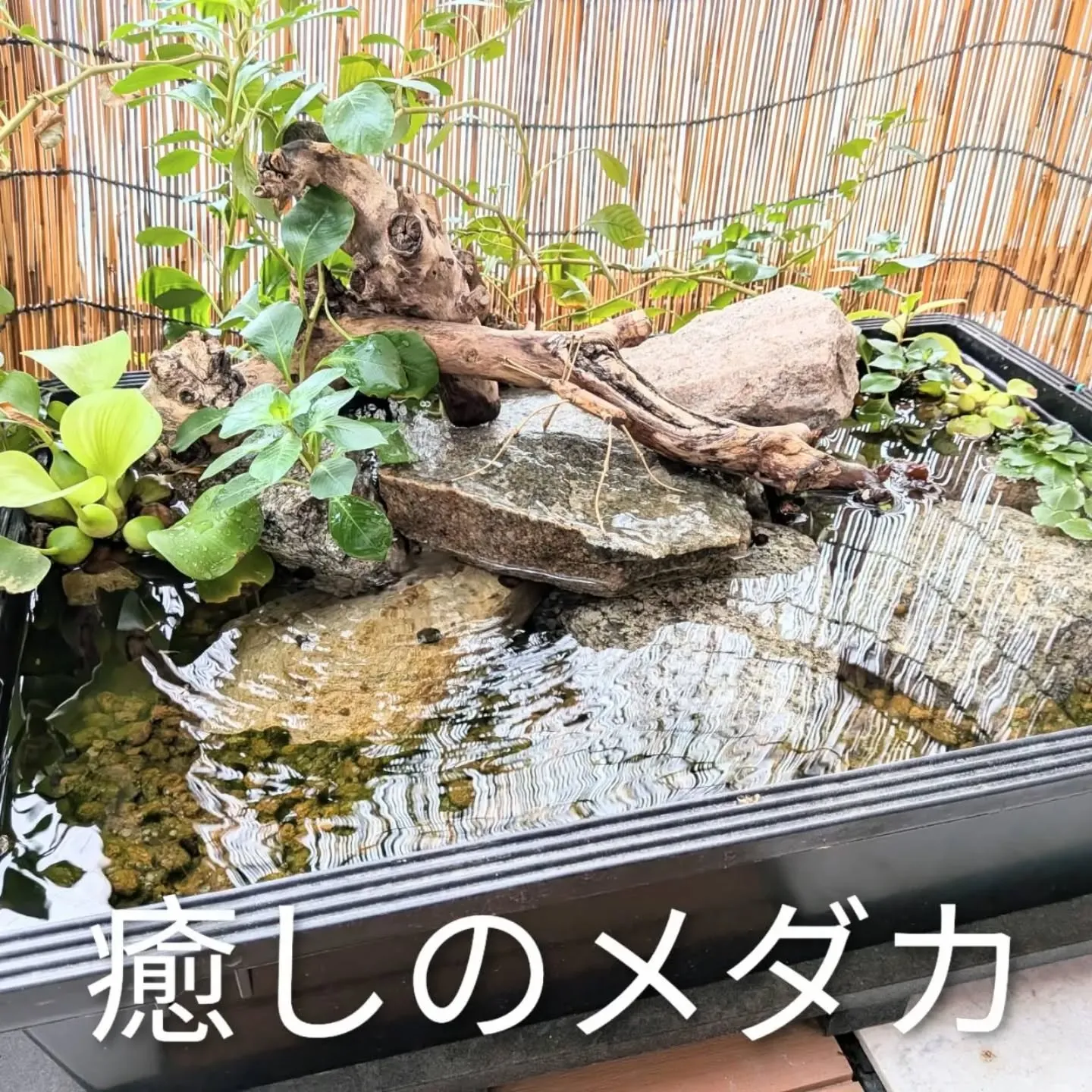 【長住】今日は連勤後の休みです。