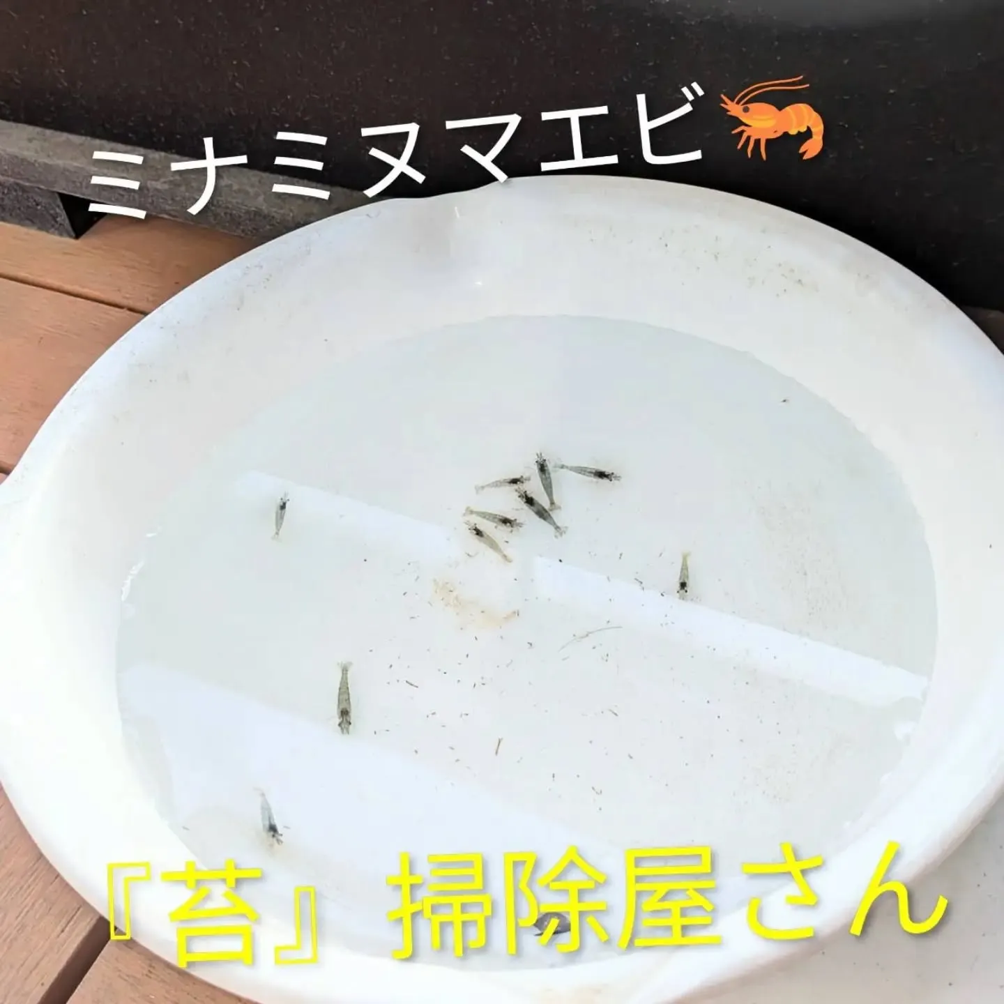 【長住】今日は連勤後の休みです。