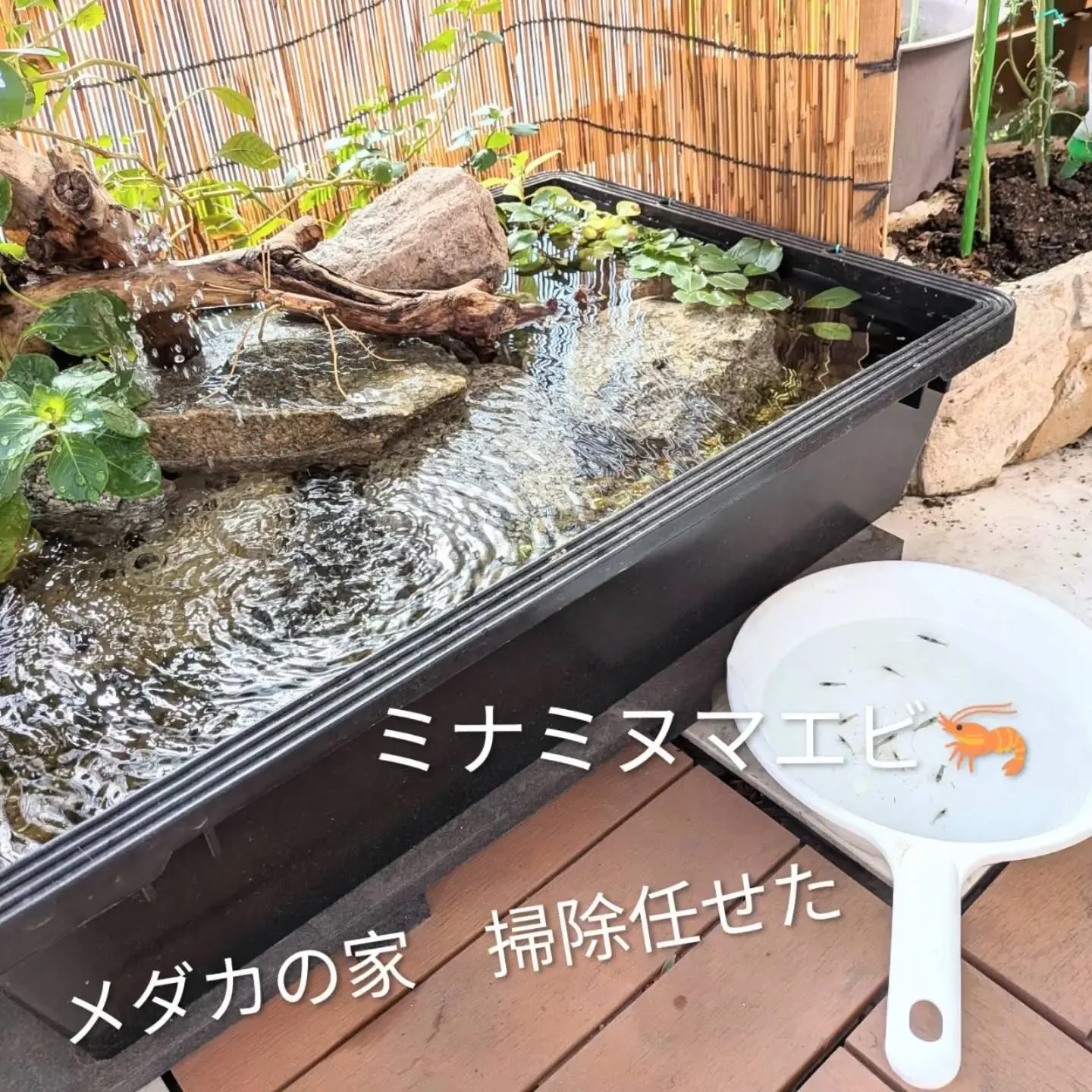 【長住】今日は連勤後の休みです。