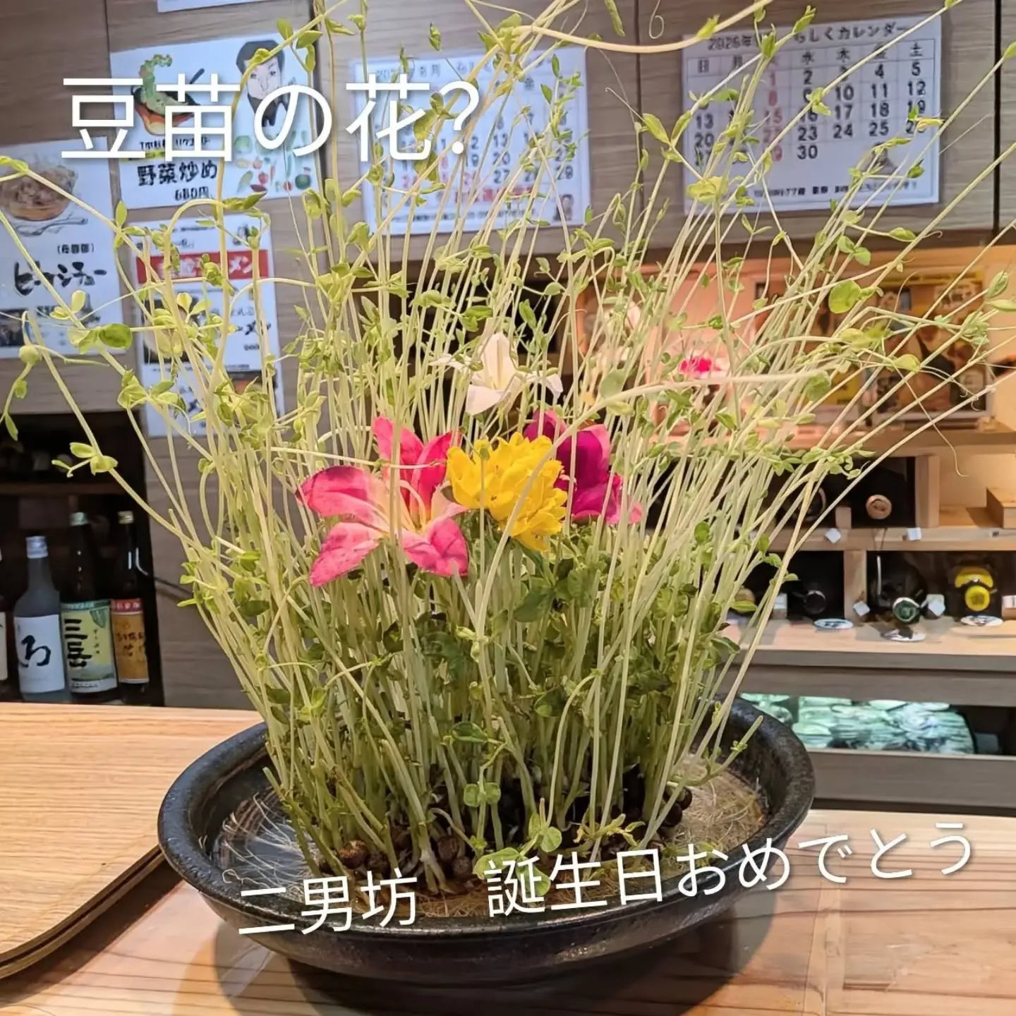 【長住】スマホ忘れて修行に行って音信不通すみませんでした。
