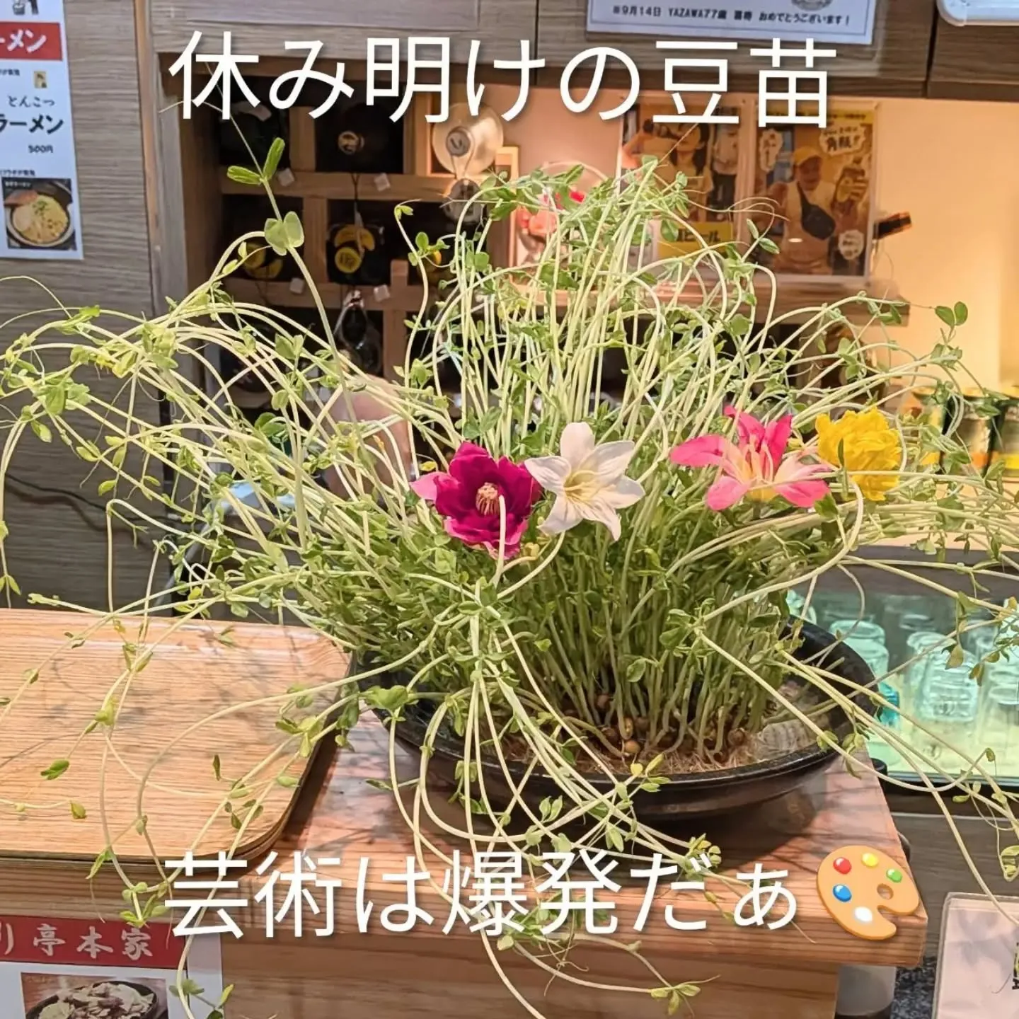 【長住】涼しくなった朝もちろんベランダへ🏃