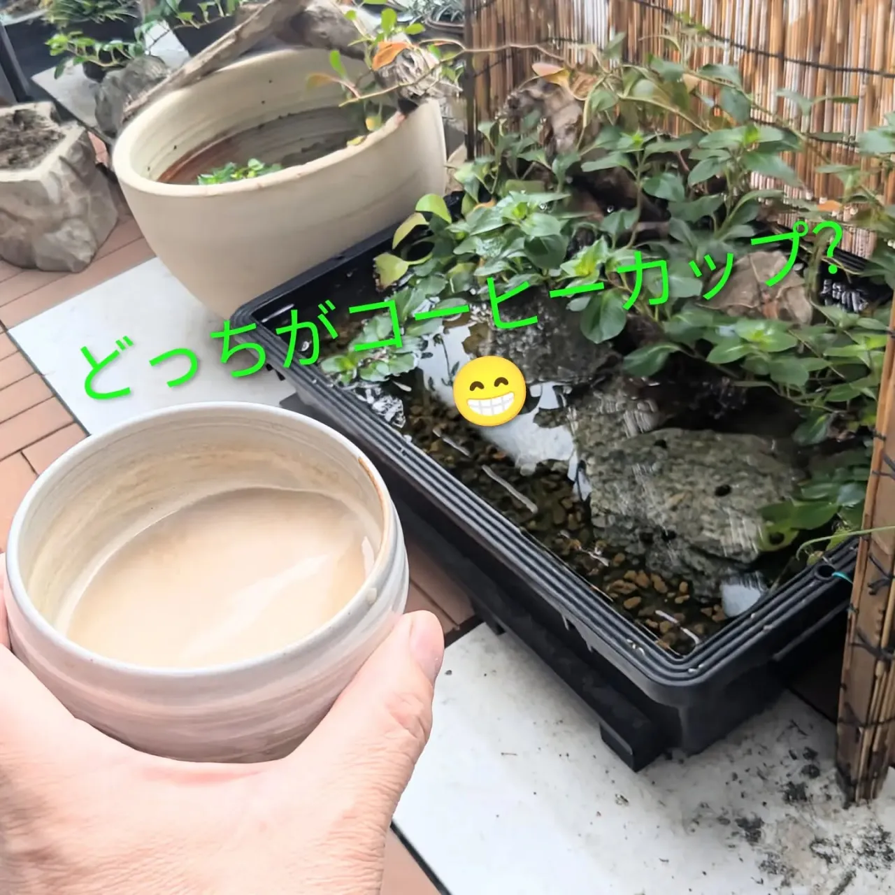 【長住】今日と明日は  らしく修行の為 おやすみです😥