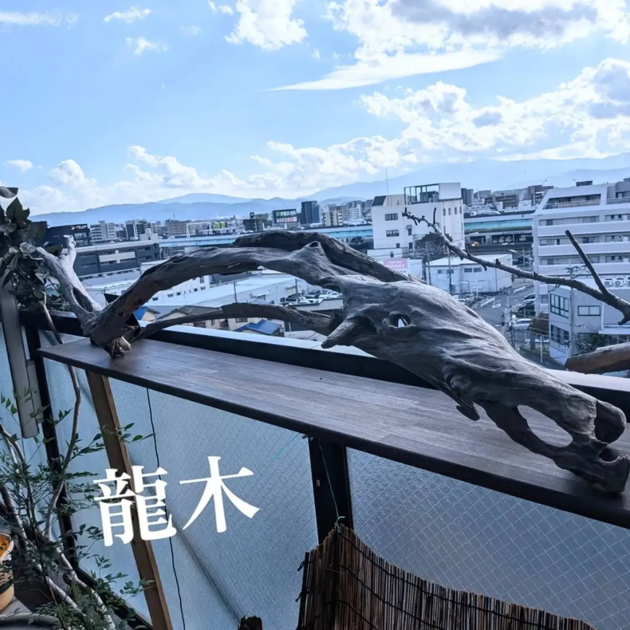 【長住】今日は店休日でお客さまのリクエスト  生落花生🥜茹 ...