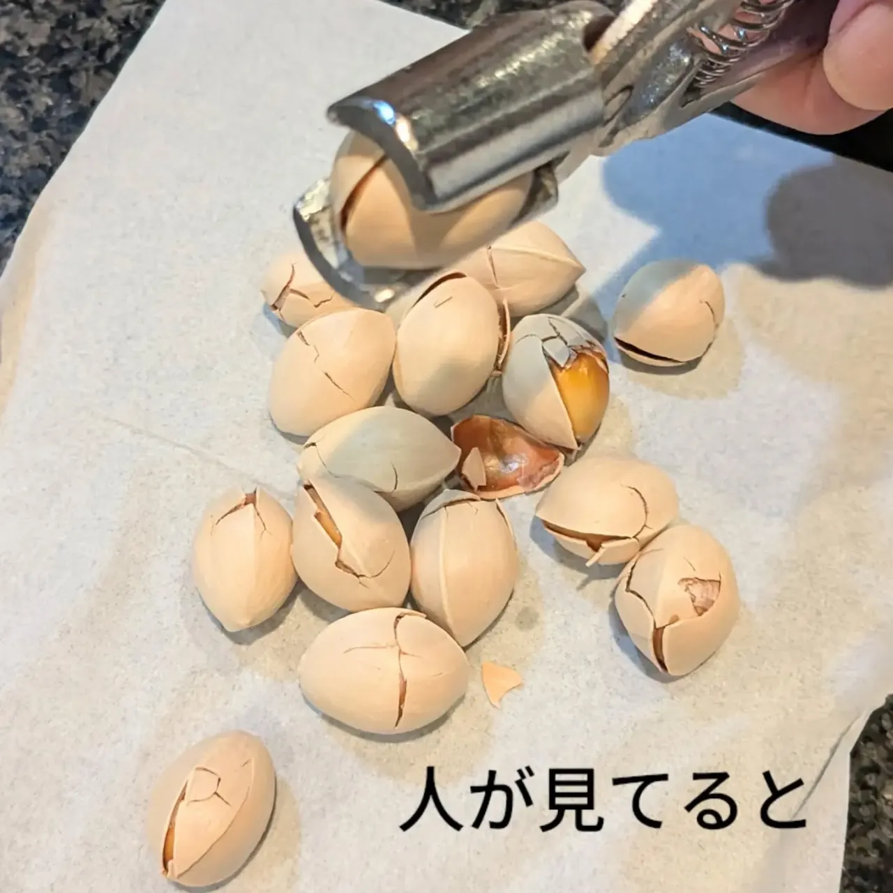 【長住】昨日は床に座って  流木磨き🫨