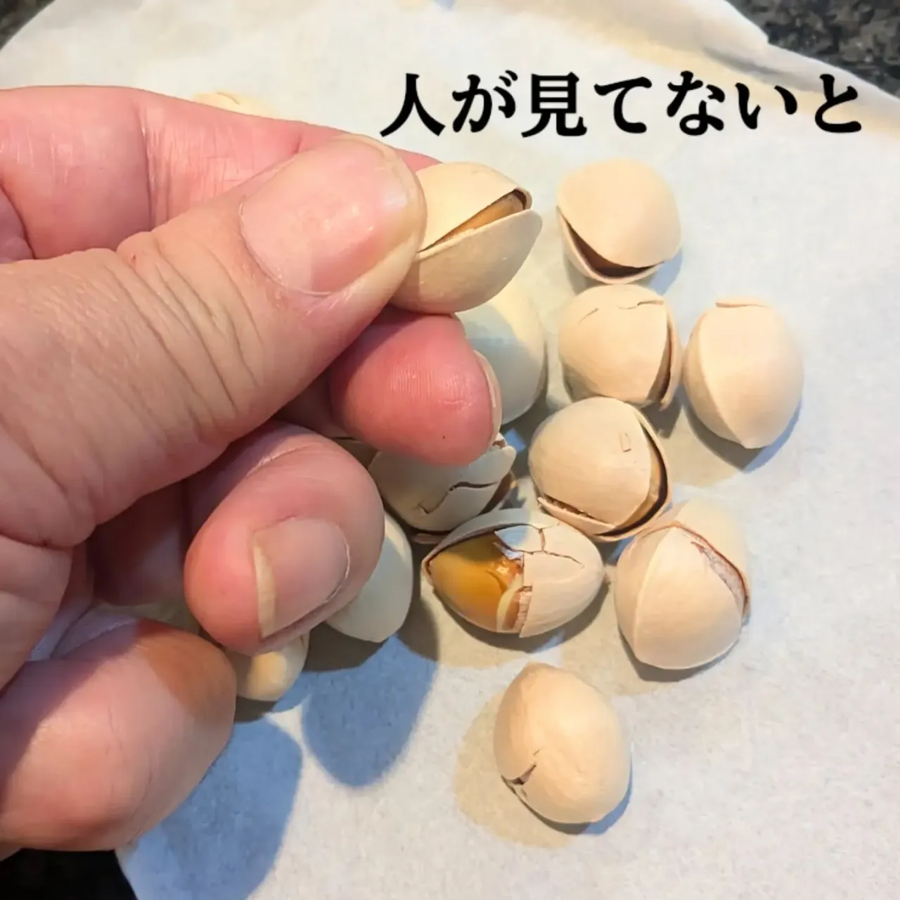 【長住】昨日は床に座って  流木磨き🫨